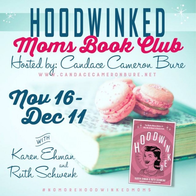 Hoodwinked-book-club