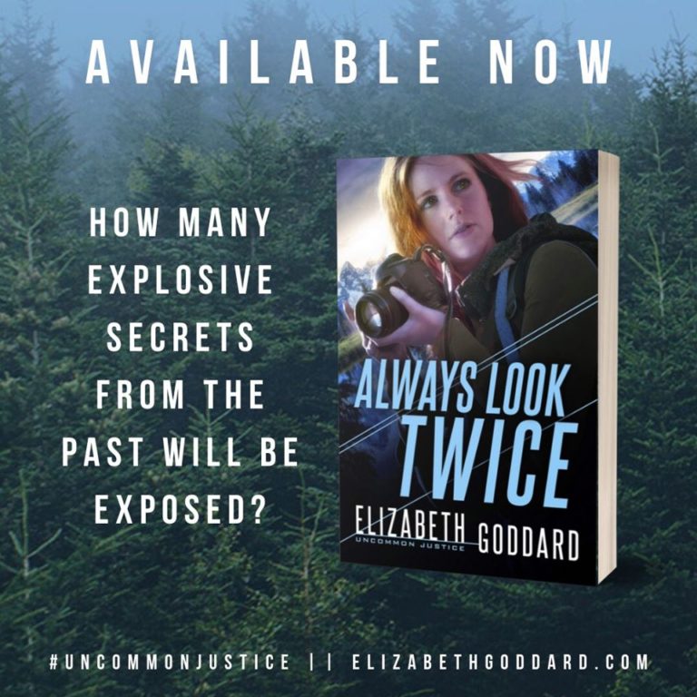 Always Look Twice (Uncommon Justice Book #2) by Elizabeth Goddard ...